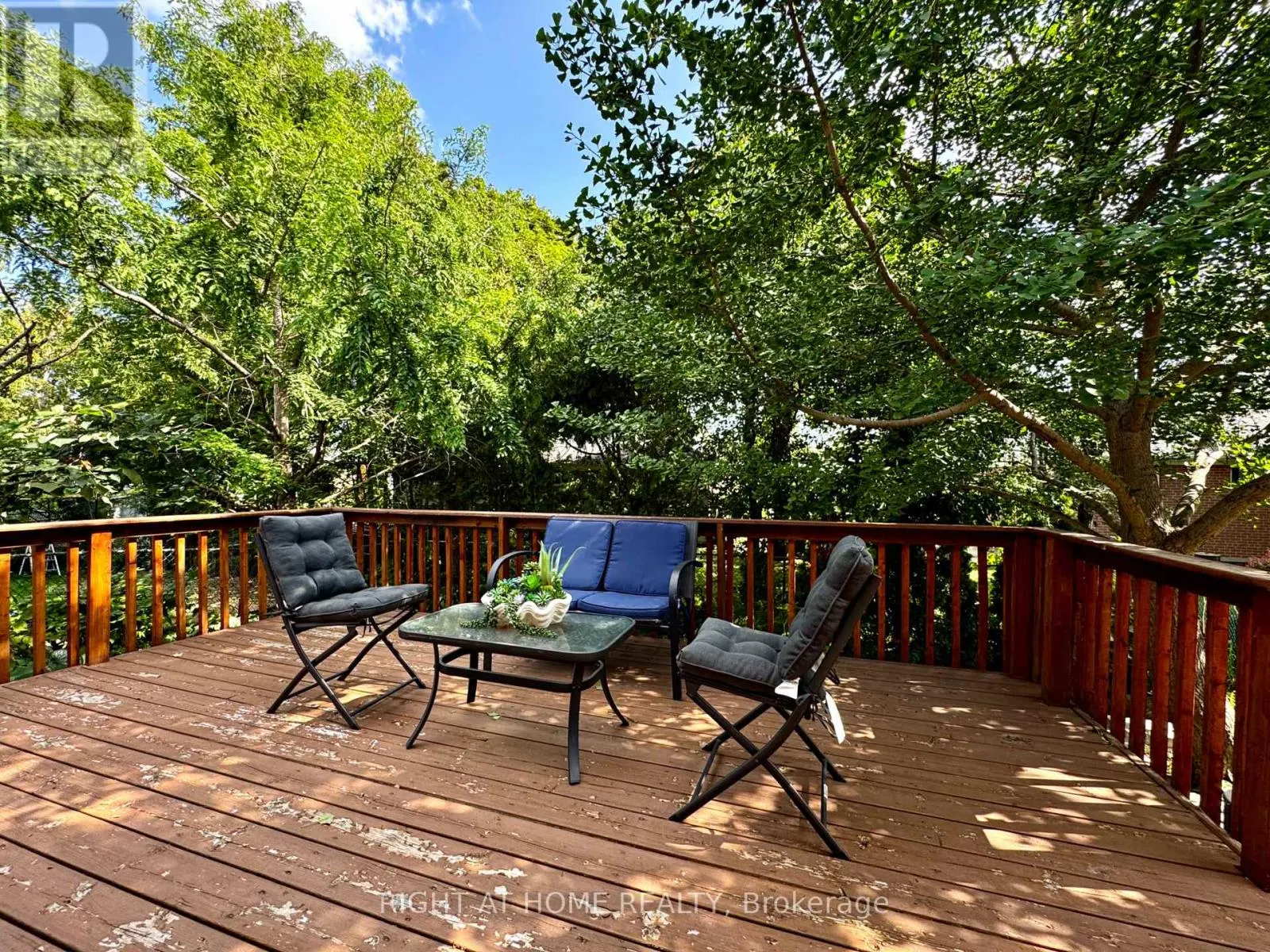 246 ZELDA CRESCENT