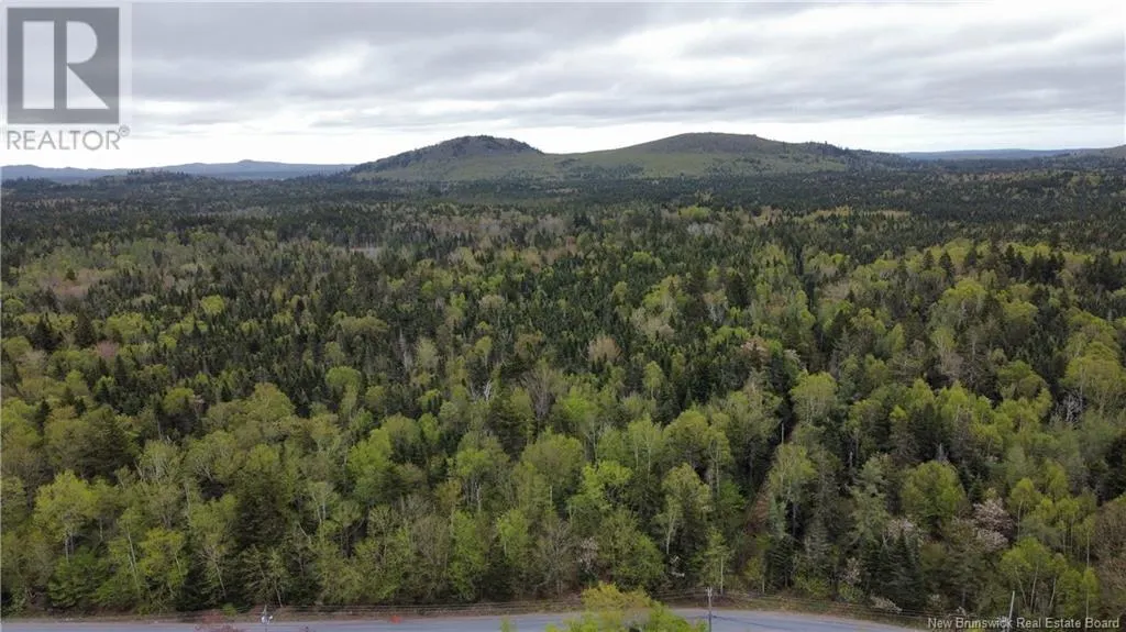 3119 Golden Grove Road