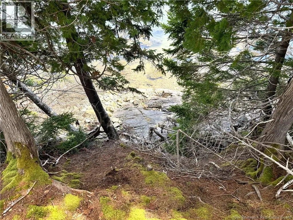 379 Hills Point Road