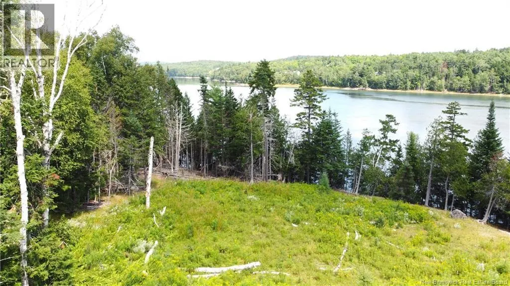 379 Hills Point Road