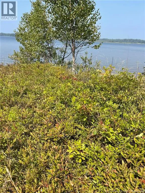 117 Comeau Point Road