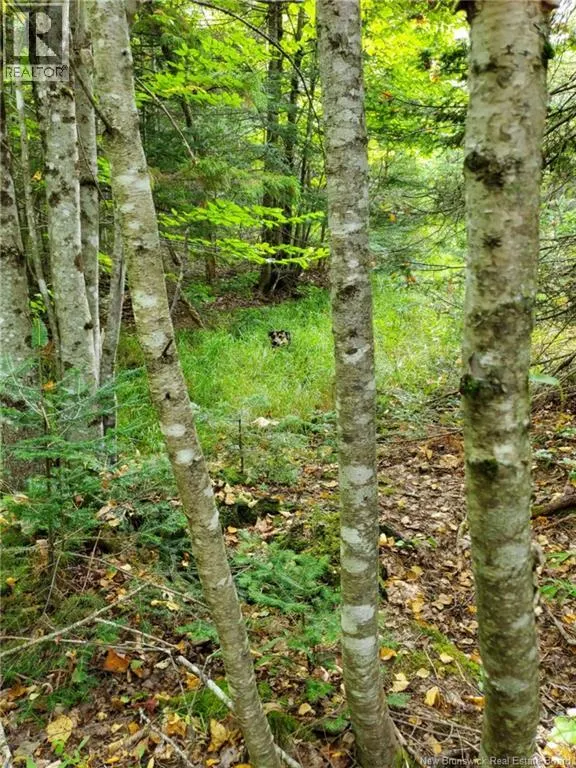 Lot 3 Thompson Road