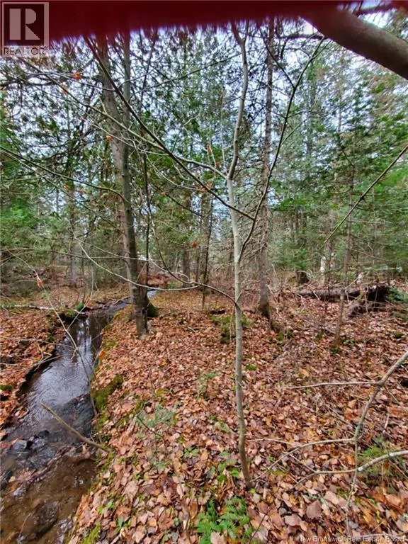 Lot 3 Thompson Road