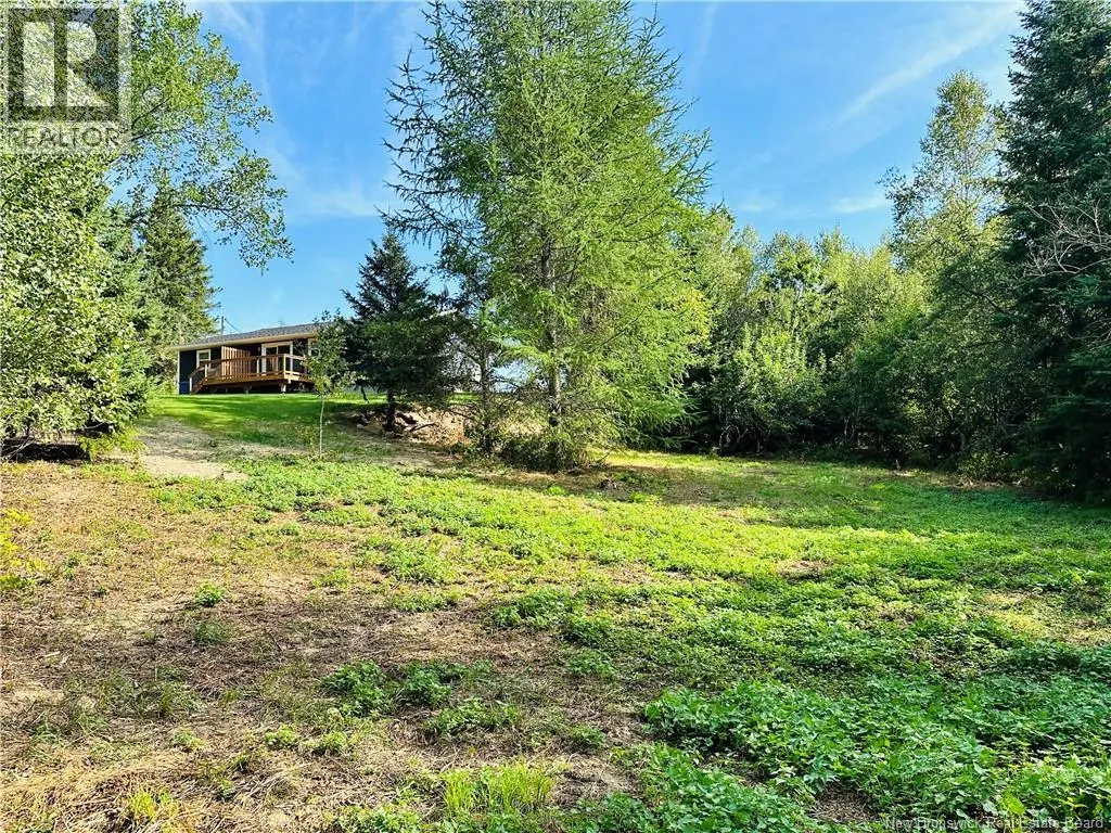 1797 King George Hwy