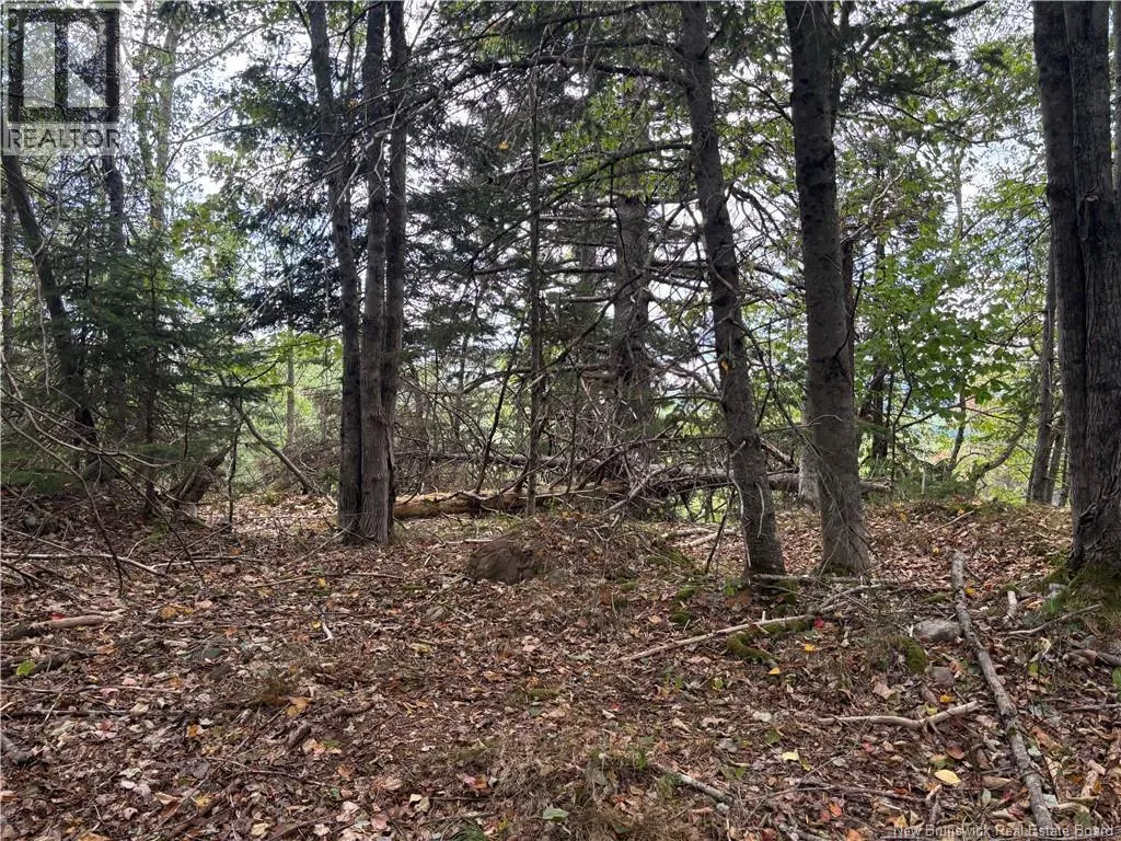 Lot B Kennebecasis River Road