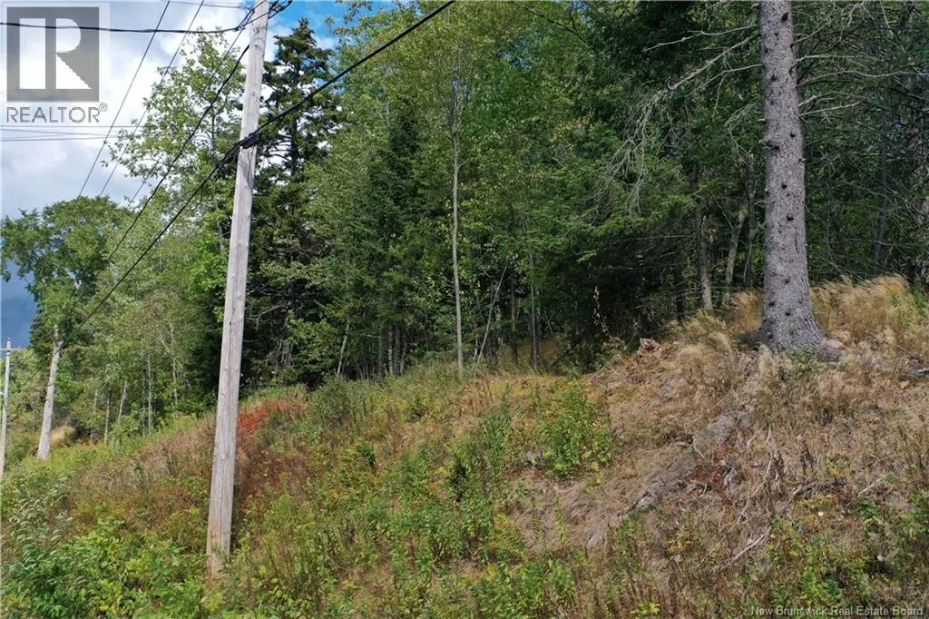 Lot B Kennebecasis River Road