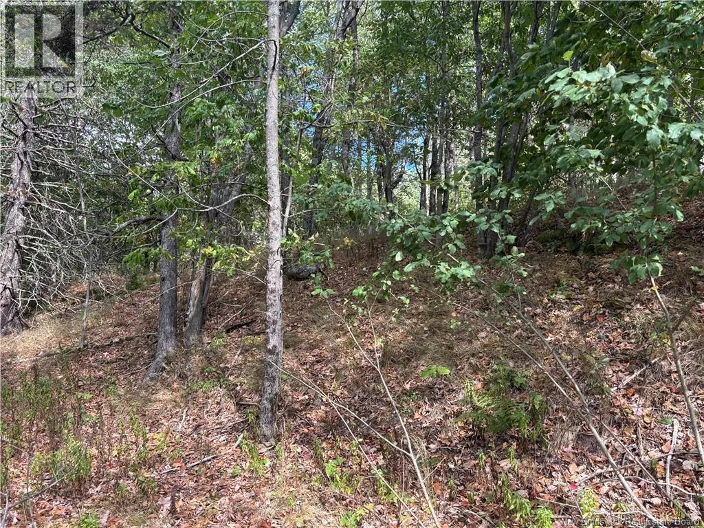 Lot B Kennebecasis River Road