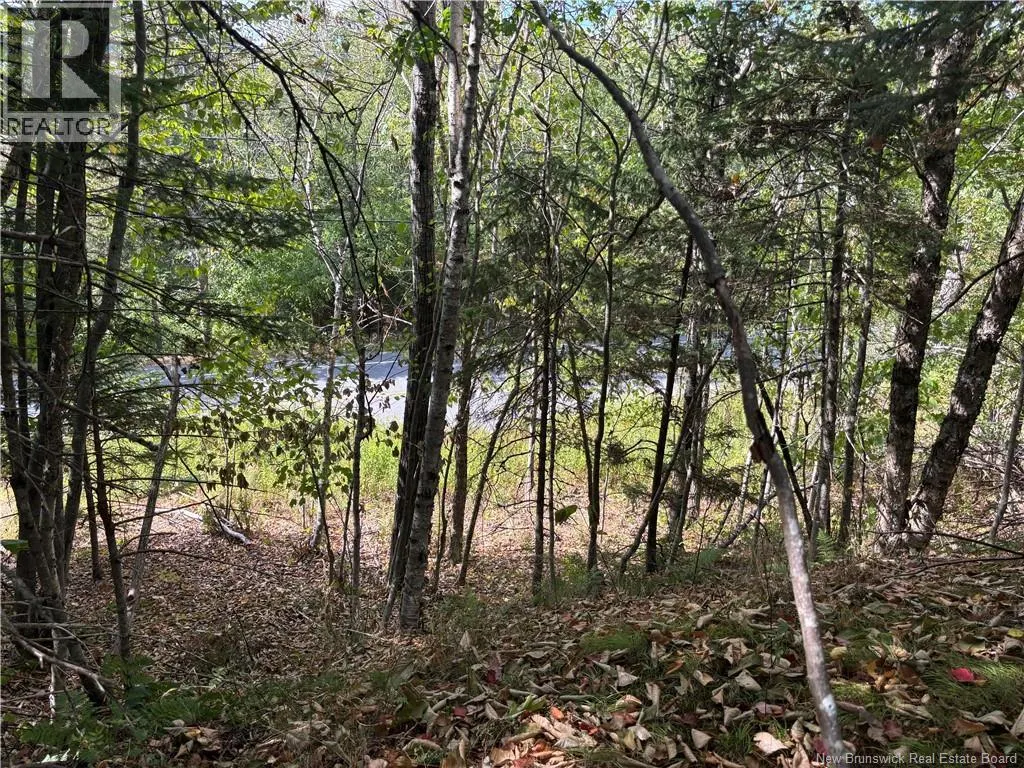 Lot B Kennebecasis River Road