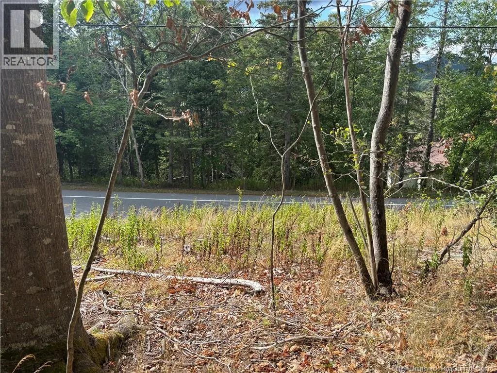 Lot B Kennebecasis River Road