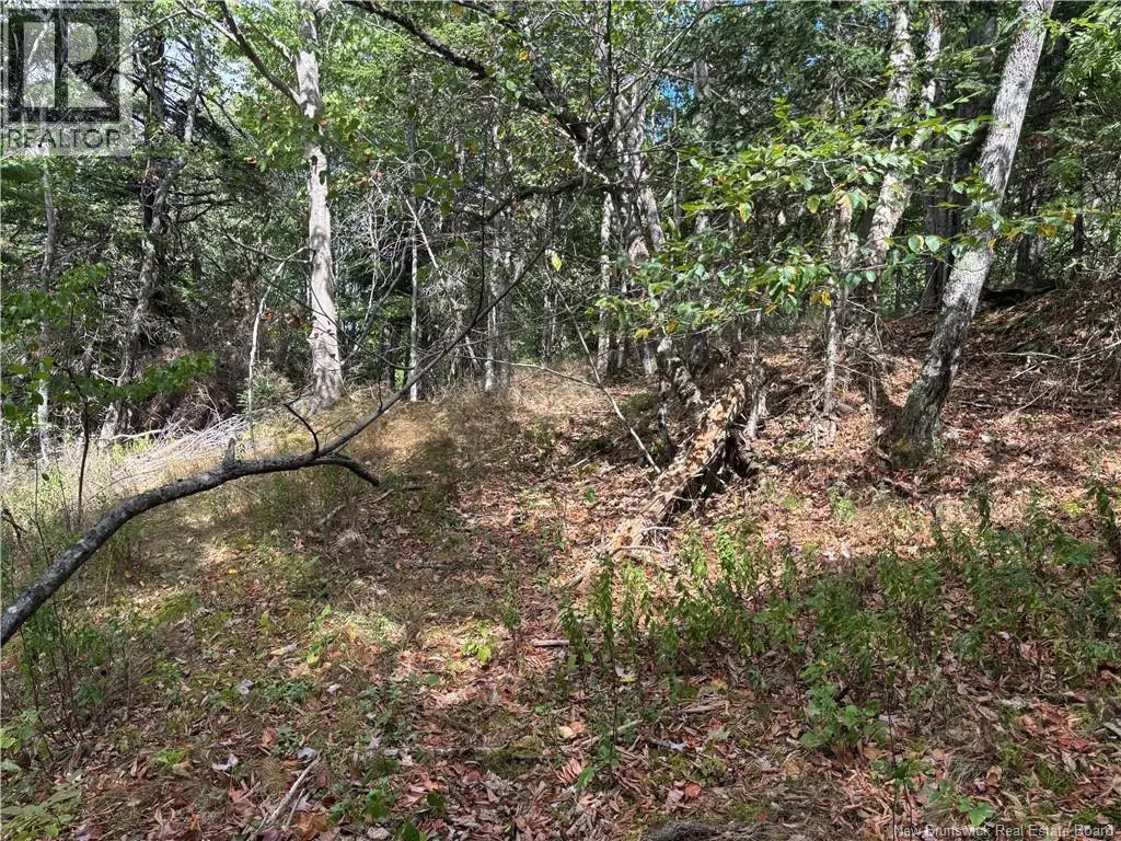 Lot B Kennebecasis River Road