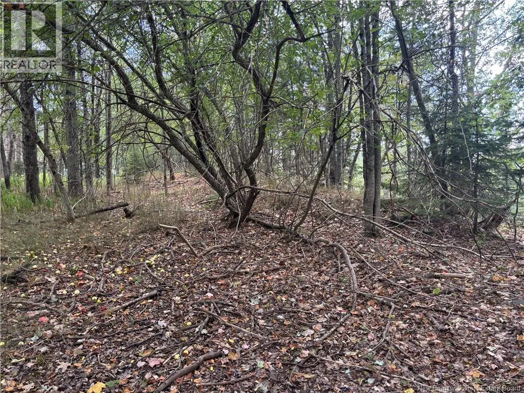 Lot B Kennebecasis River Road