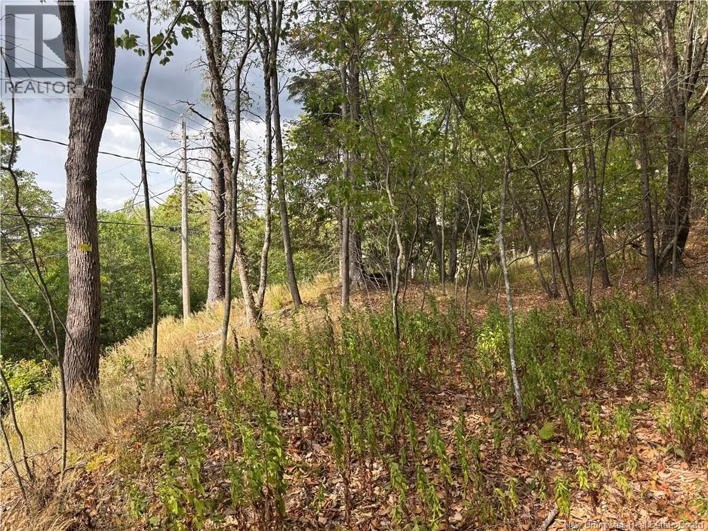 Lot B Kennebecasis River Road