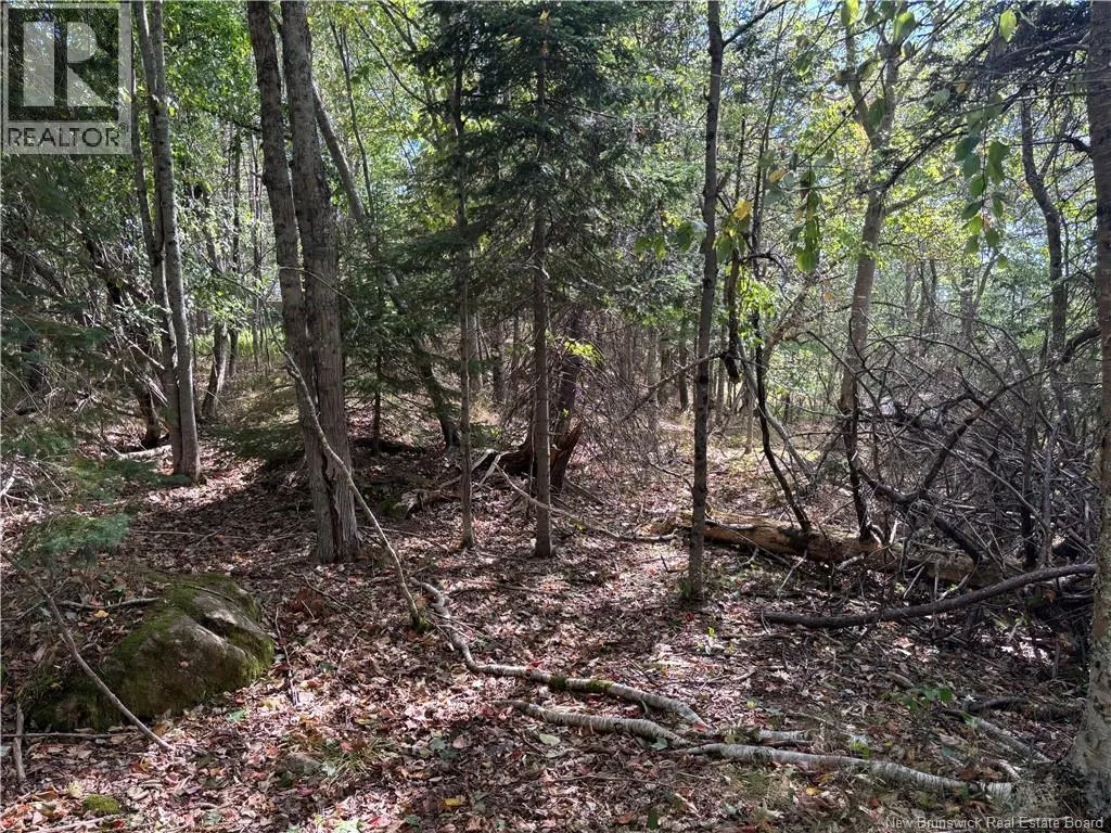 Lot B Kennebecasis River Road