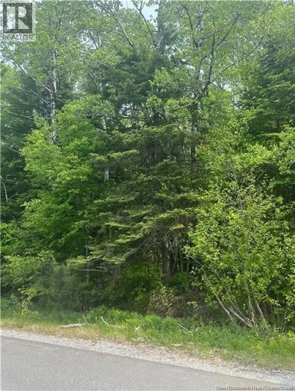 430 Bradley Lake Road