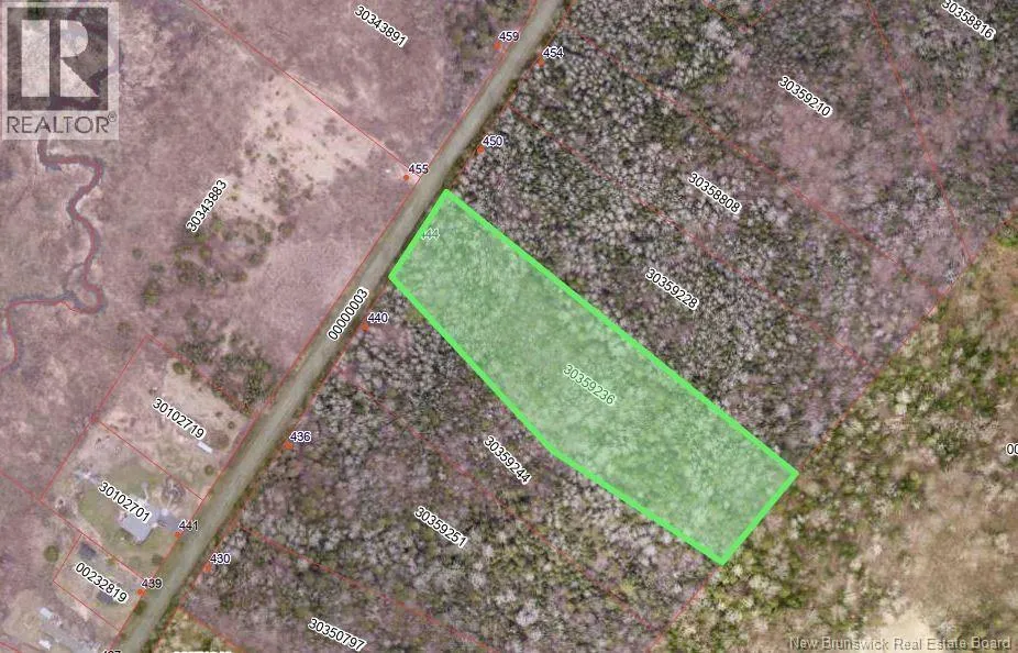 444 Bradley Lake Road