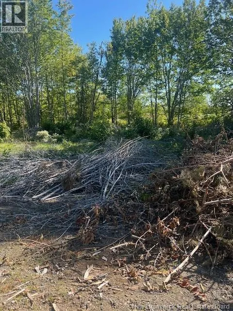 Lot 12-06 Lecojo Lane