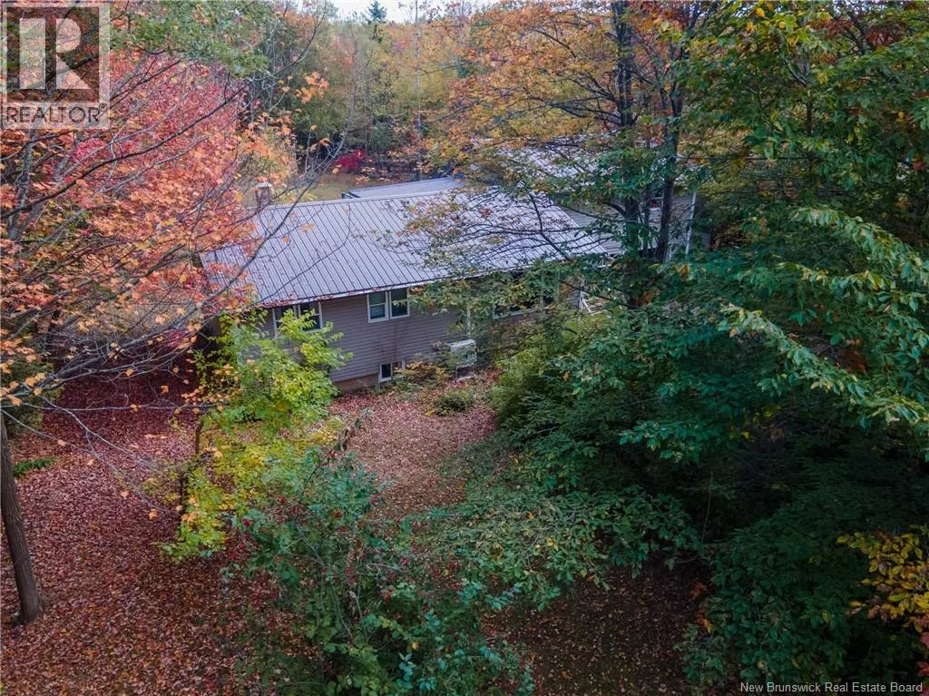 52 Pettingill Road