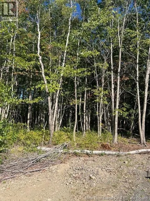 Vacant Land RTE 535 Cocagne
