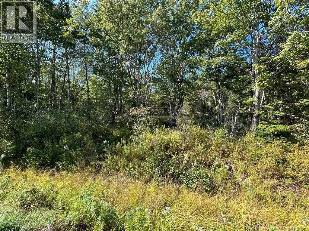 Lot 25-4 Upper Midland Road