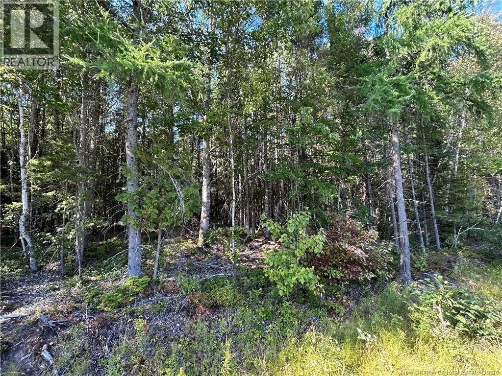 Lot 25-4 Upper Midland Road