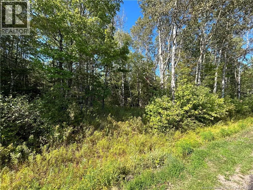 Lot 25-4 Upper Midland Road