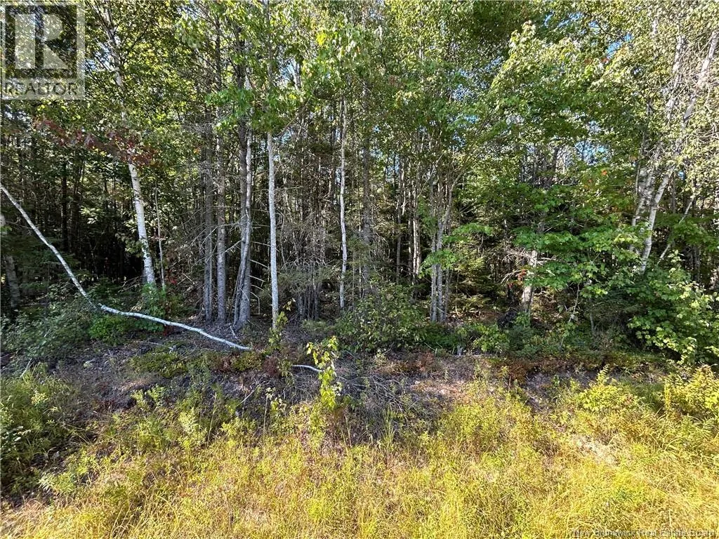 Lot 25-4 Upper Midland Road