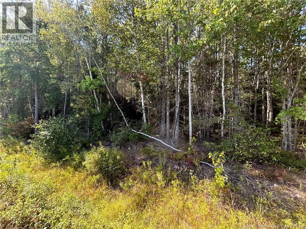 Lot 25-4 Upper Midland Road