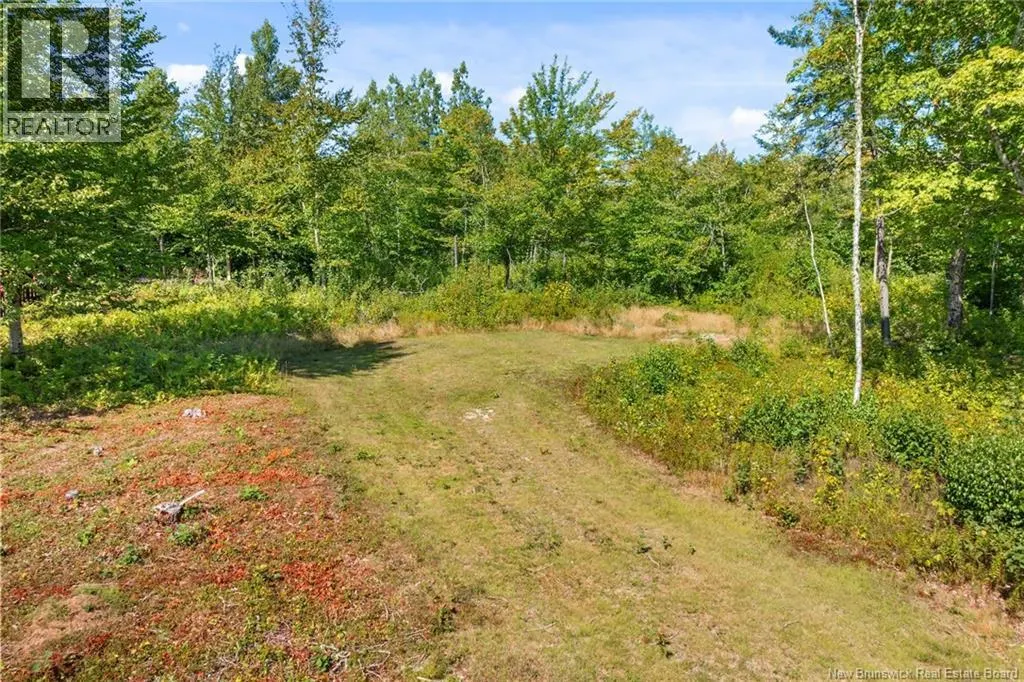 1677 Bronson Sett Road