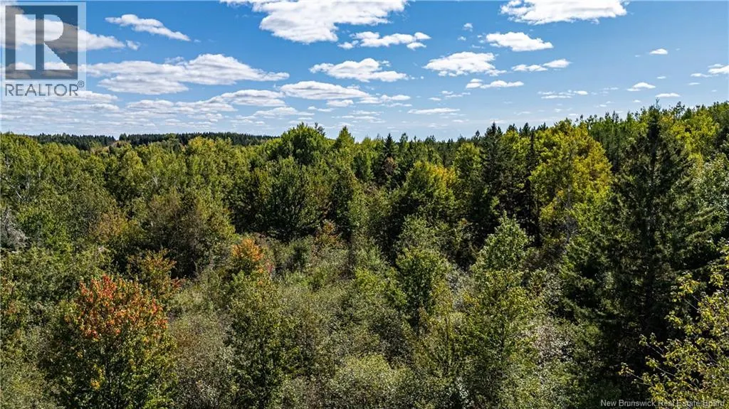 Lot 79-8 De La Traverse