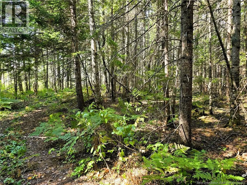 36 acres Route 135