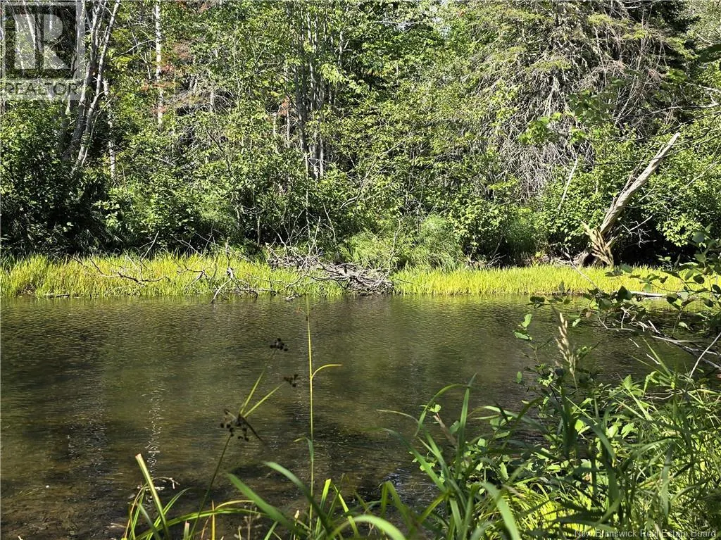 36 acres Route 135