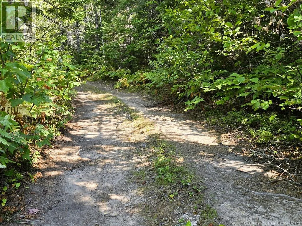 36 acres Route 135