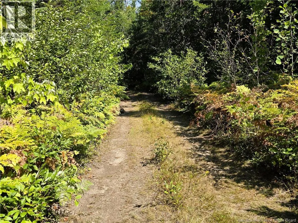 36 acres Route 135