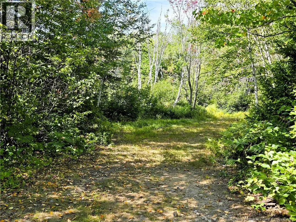 36 acres Route 135