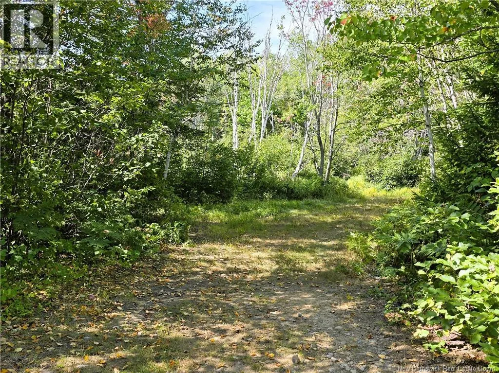 36 acres Route 135