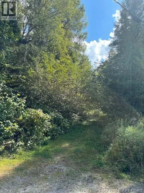 664 River Road