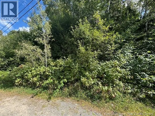 664 River Road