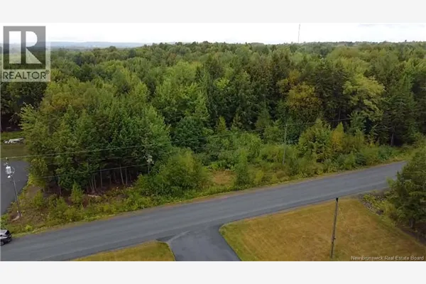 Lot Country Wood Lane