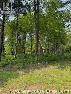 Lot Wegesegum Road