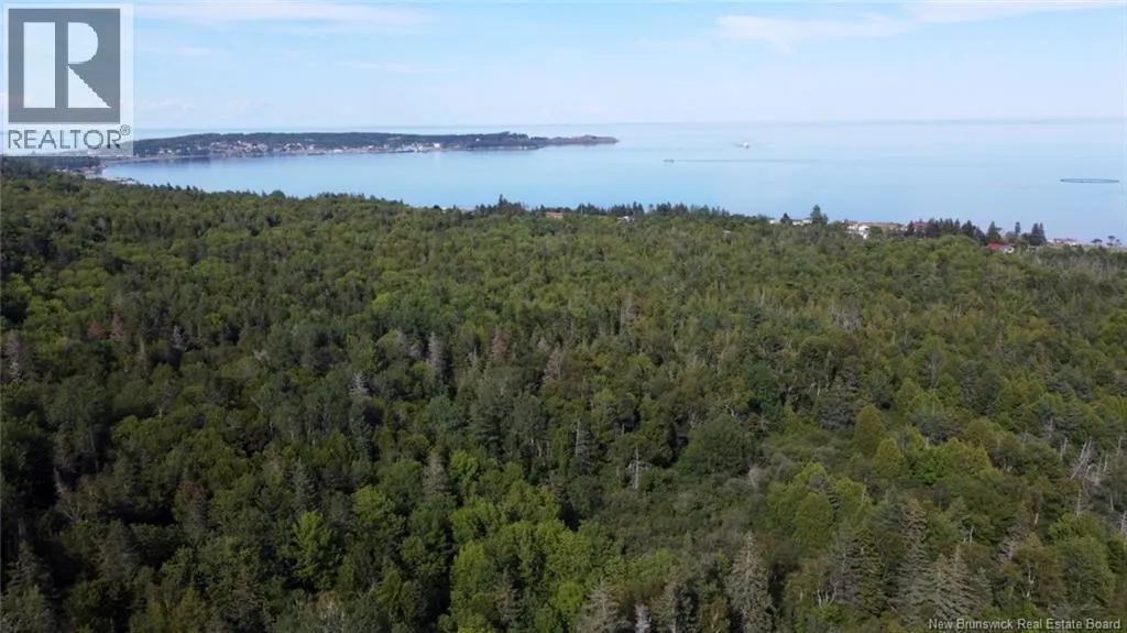 Bayview Heights