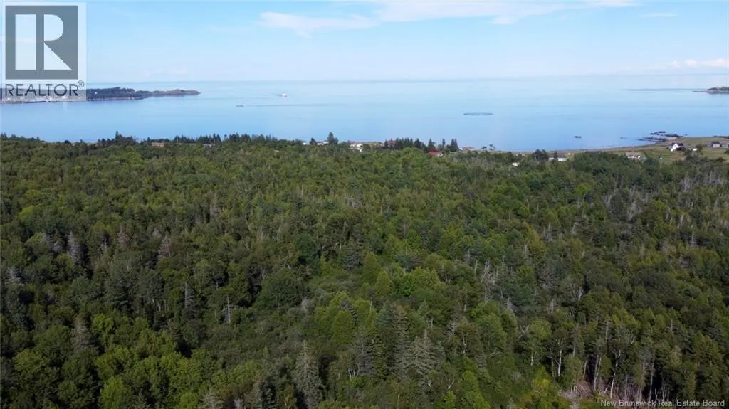Bayview Heights
