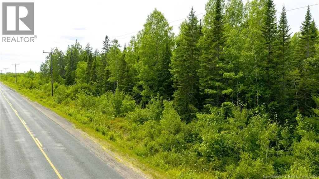 Vacant Land Route 363