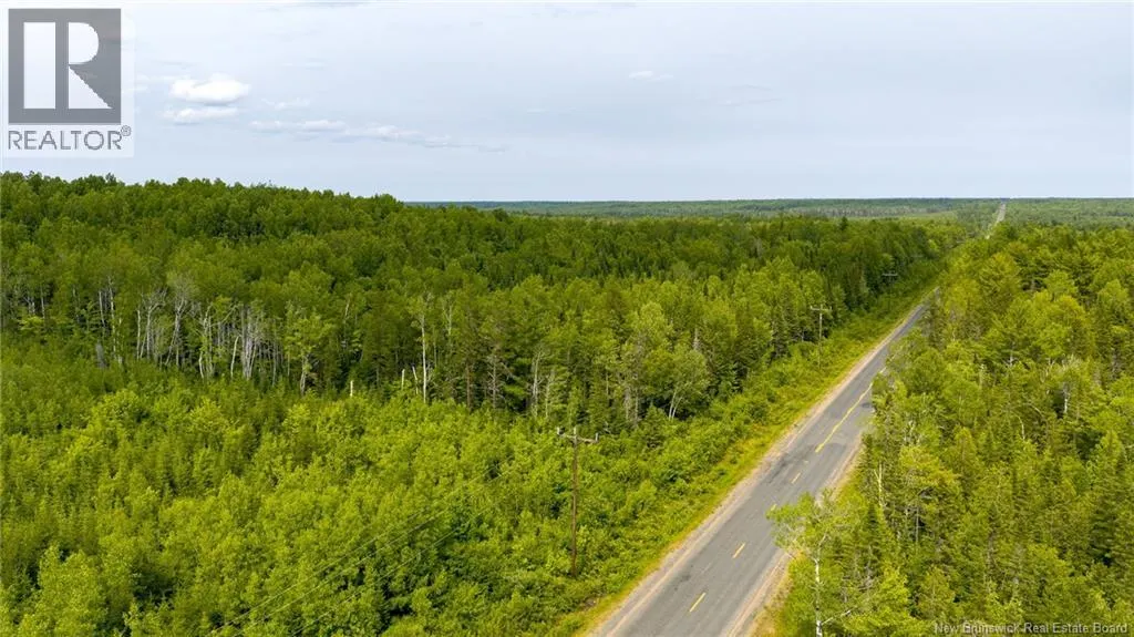 Vacant Land Route 363