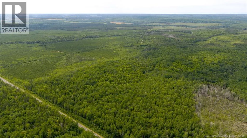 Vacant Land Route 363