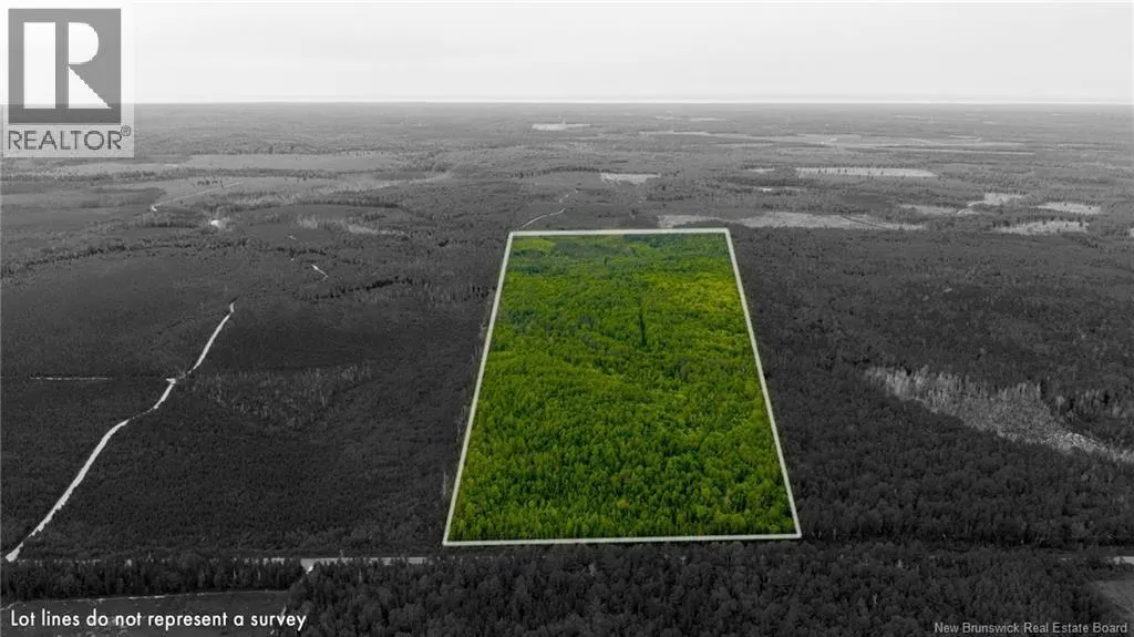 Vacant Land Route 363