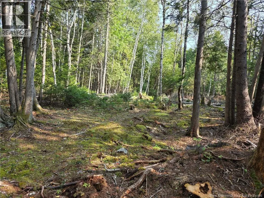 Lot 1 Rankine Road