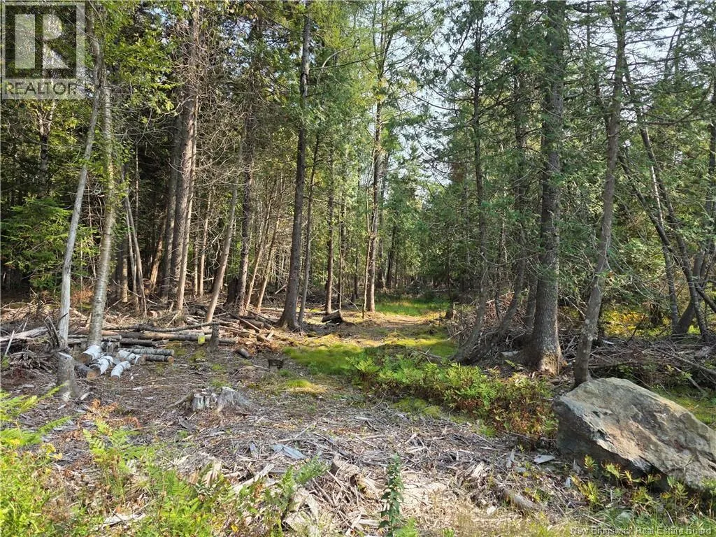Lot 1 Rankine Road