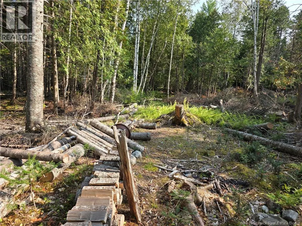 Lot 1 Rankine Road