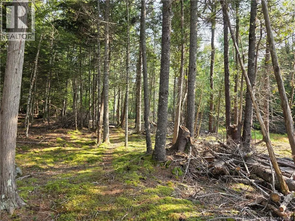 Lot 1 Rankine Road