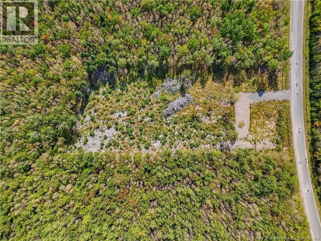 LOT Post Road